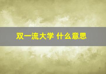 双一流大学 什么意思